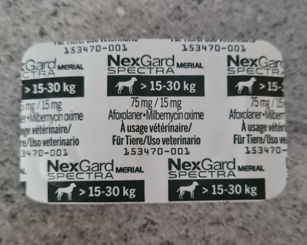 Zorro ❤️ - bild i artikeln från OurBackyardEurope