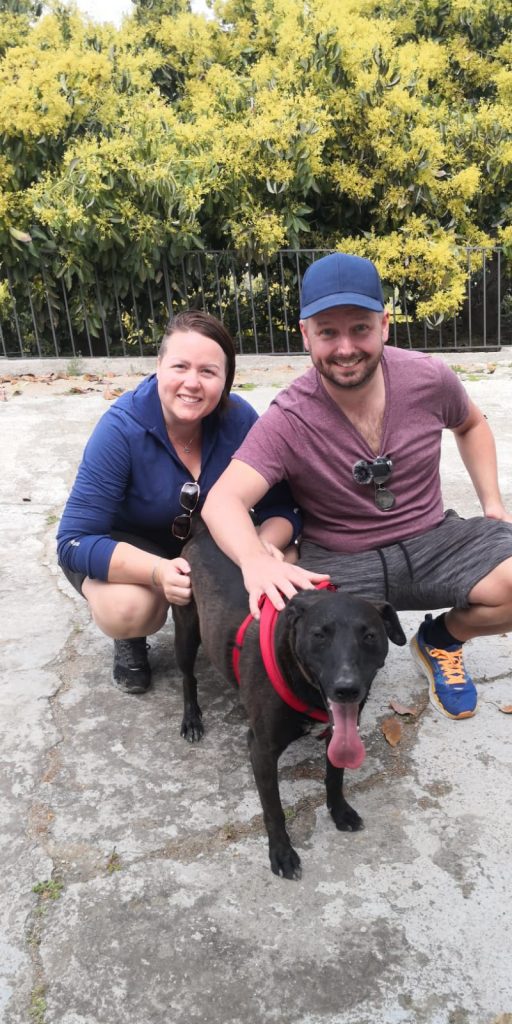 Nu har vi äntligen hämtat vår hund :) - bild i artikeln från OurBackyardEurope