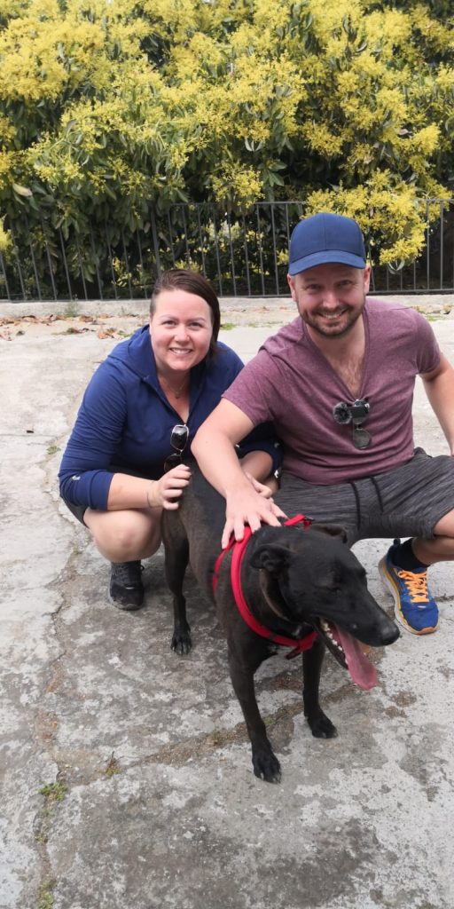 Nu har vi äntligen hämtat vår hund :) - bild i artikeln från OurBackyardEurope