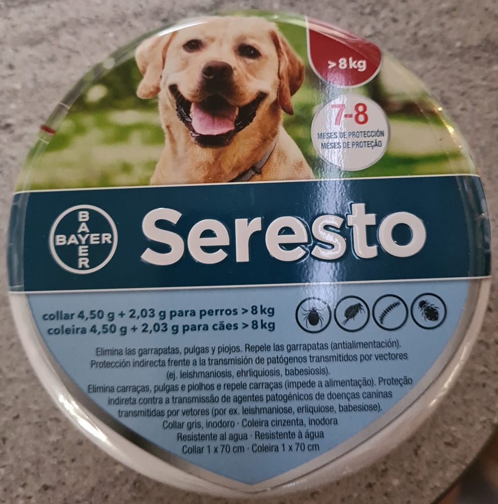 Zorro ❤️ - bild i artikeln från OurBackyardEurope