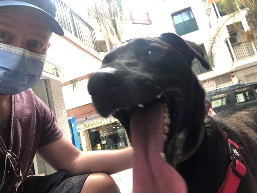 Nu har vi äntligen hämtat vår hund :) - bild i artikeln från OurBackyardEurope