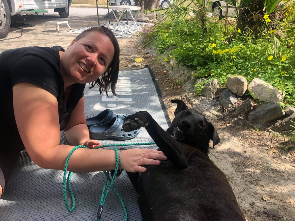 Nu har vi äntligen hämtat vår hund :) - bild i artikeln från OurBackyardEurope