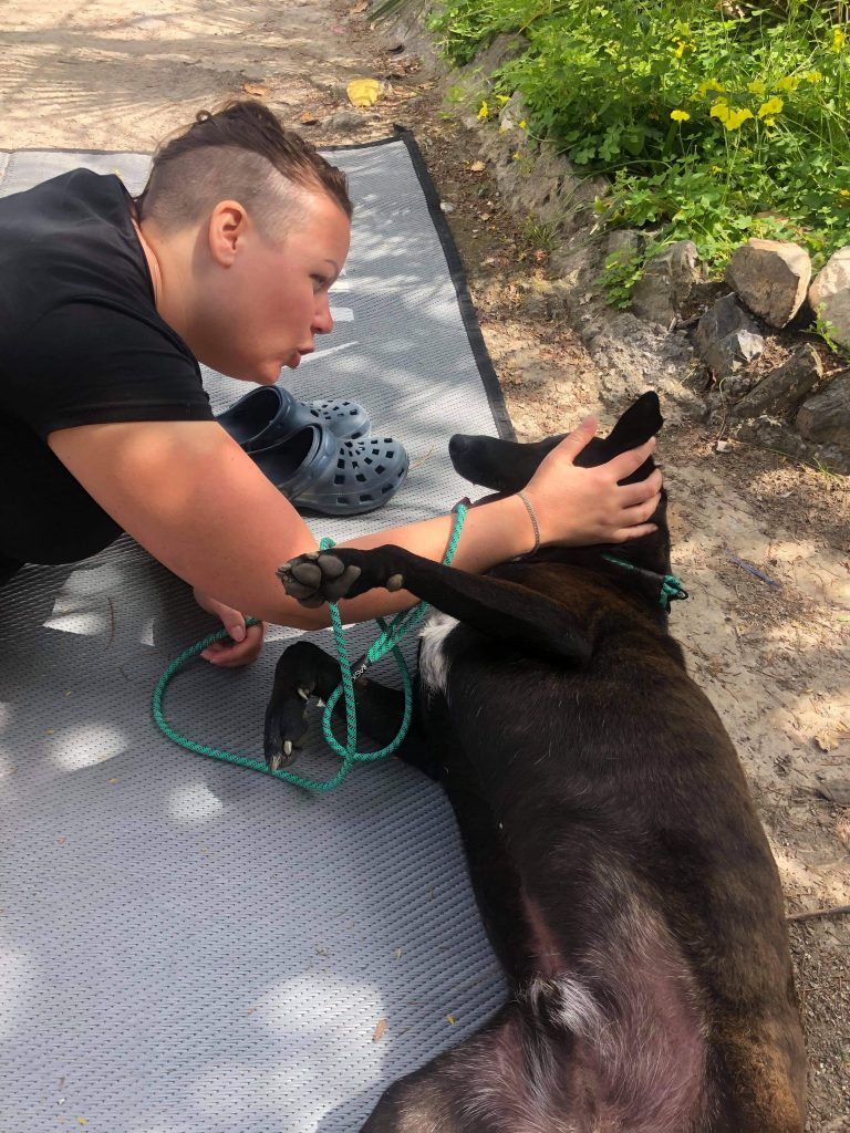 Nu har vi äntligen hämtat vår hund :) - bild i artikeln från OurBackyardEurope