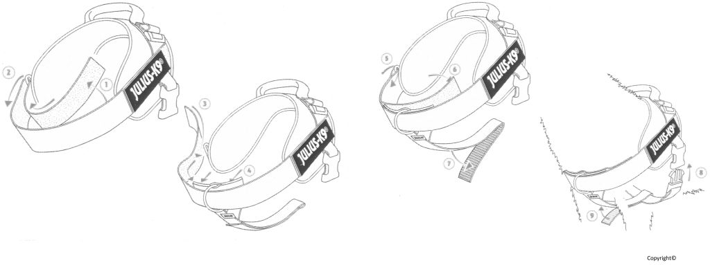 Koppel / Selen / Halsband till Zorro - bild i artikeln från OurBackyardEurope