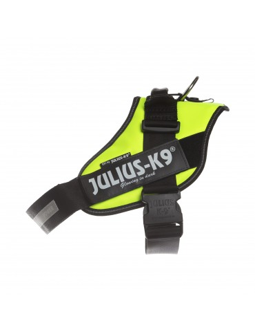 Koppel / Selen / Halsband till Zorro - bild i artikeln från OurBackyardEurope