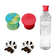 Koppel / Selen / Halsband till Zorro - bild i artikeln från OurBackyardEurope