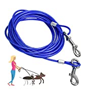 Koppel / Selen / Halsband till Zorro - bild i artikeln från OurBackyardEurope