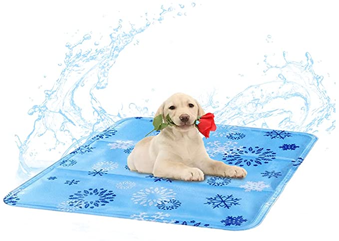 Koppel / Selen / Halsband till Zorro - bild i artikeln från OurBackyardEurope